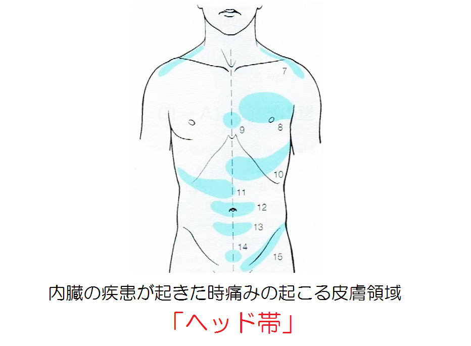 胸 背中の痛み 名古屋市中区 月の輪接骨院