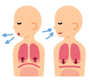 腹式呼吸の絵